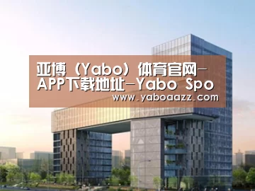 案例展示四