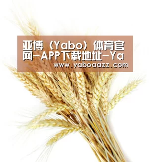 亚博（Yabo）体育官网-APP下载地址-Yabo Sports