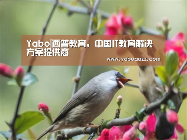 Yabo|西普教育,中国IT教育解决方案提供商(图3) 亚博官网
