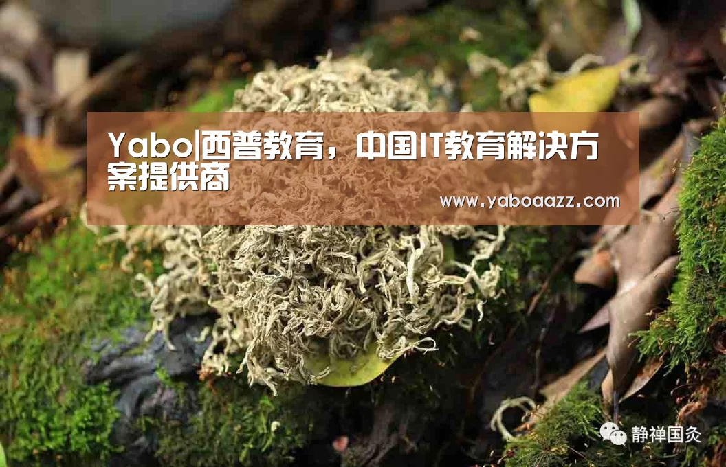 Yabo|西普教育,中国IT教育解决方案提供商(图4) Yabo|西普教育,中国IT教育解决方案提供商(图4)