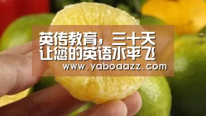 英传教育,三十天让您的英语水平飞跃‘亚博体育’(图2) 亚博体育