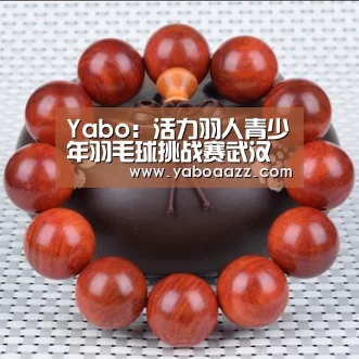 Yabo:活力羽人青少年羽毛球挑战赛武汉站收拍 合肥德仁体育成绩骄人(图3) 亚博