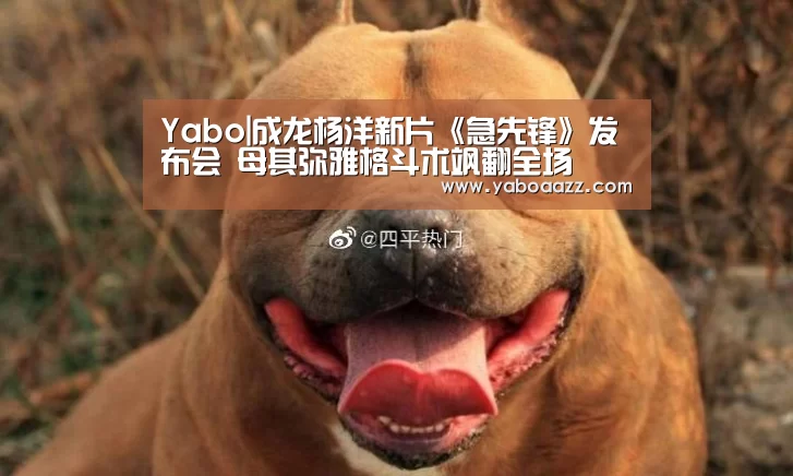 Yabo|成龙杨洋新片《急先锋》发布会 母其弥雅格斗术飒翻全场(图2) Yabo|成龙杨洋新片《急先锋》发布会 母其弥雅格斗术飒翻全场(图2)
